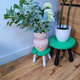 3D printed lily pad plant stool in black, 20cm size, showing sturdy legs and felt pads