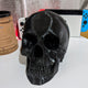 3D printed human skull replica in white showing life-size detail front view